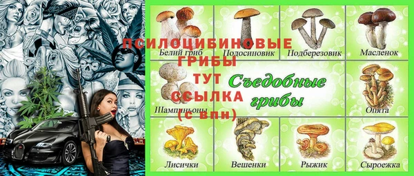 Альфа ПВП Горно-Алтайск