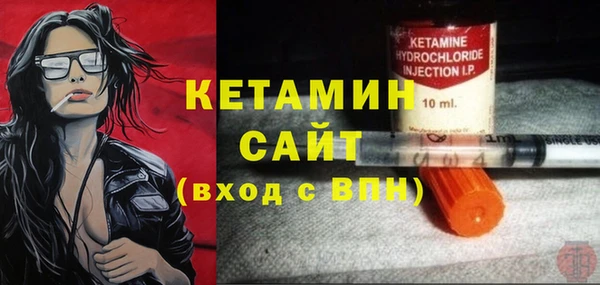 индика Сосновоборск